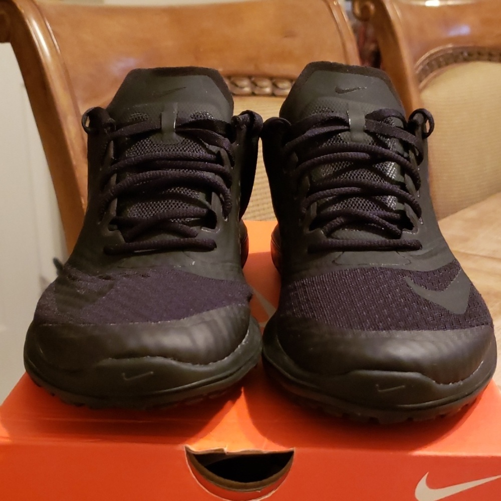 Womens Nike FS Lite Run 2